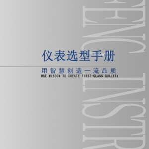 亞峰儀表浮筒液位計(jì)樣本