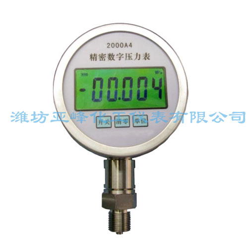 山東數(shù)字壓力表