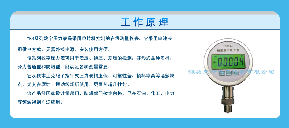 數(shù)字壓力表